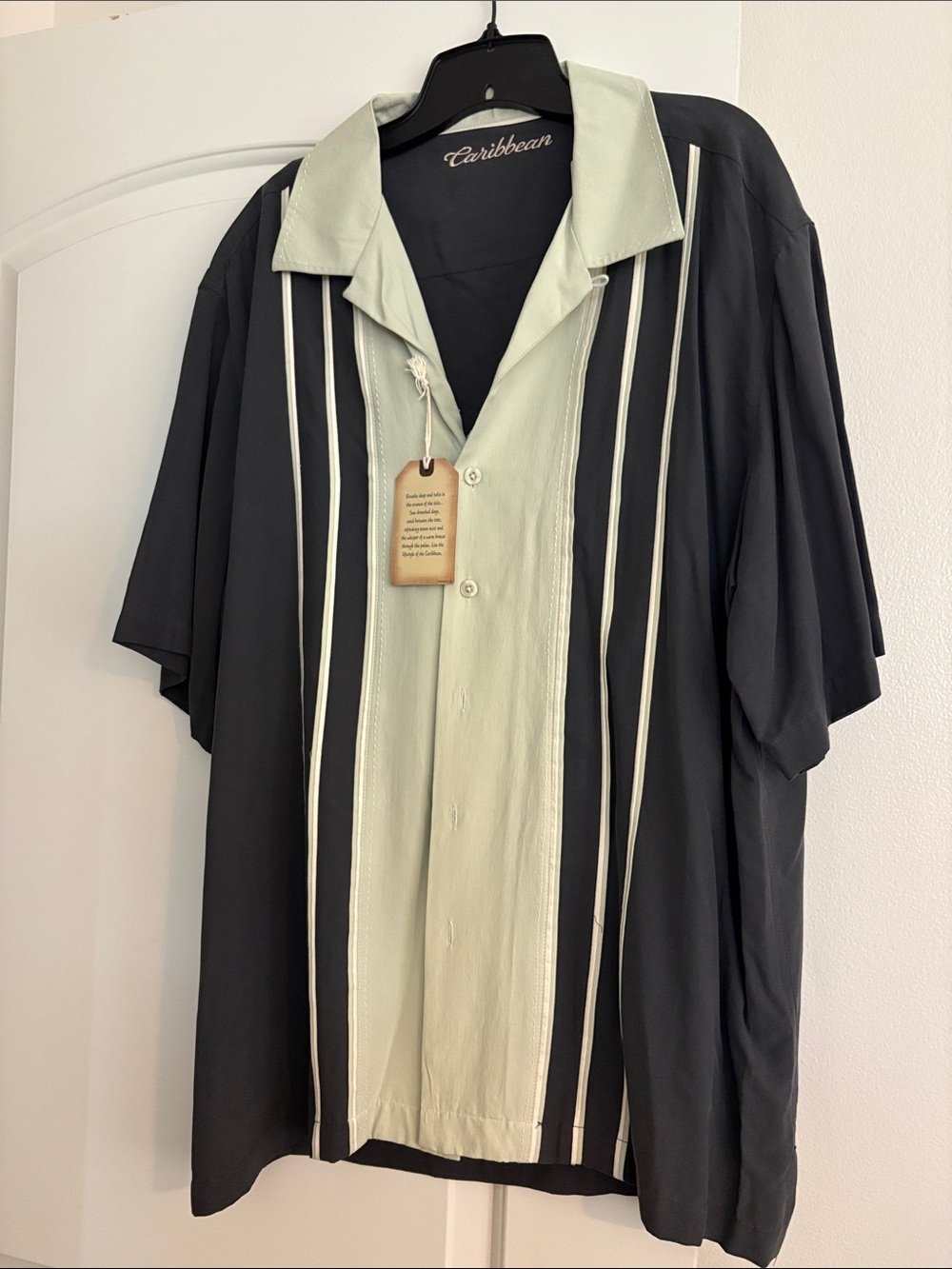 Caribbean Two-Tone Vertical Stripe Camp Shirt - Black & Sage Green
